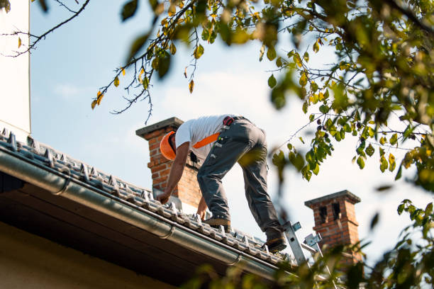Best Roof Gutter Cleaning  in Highland Falls, NY